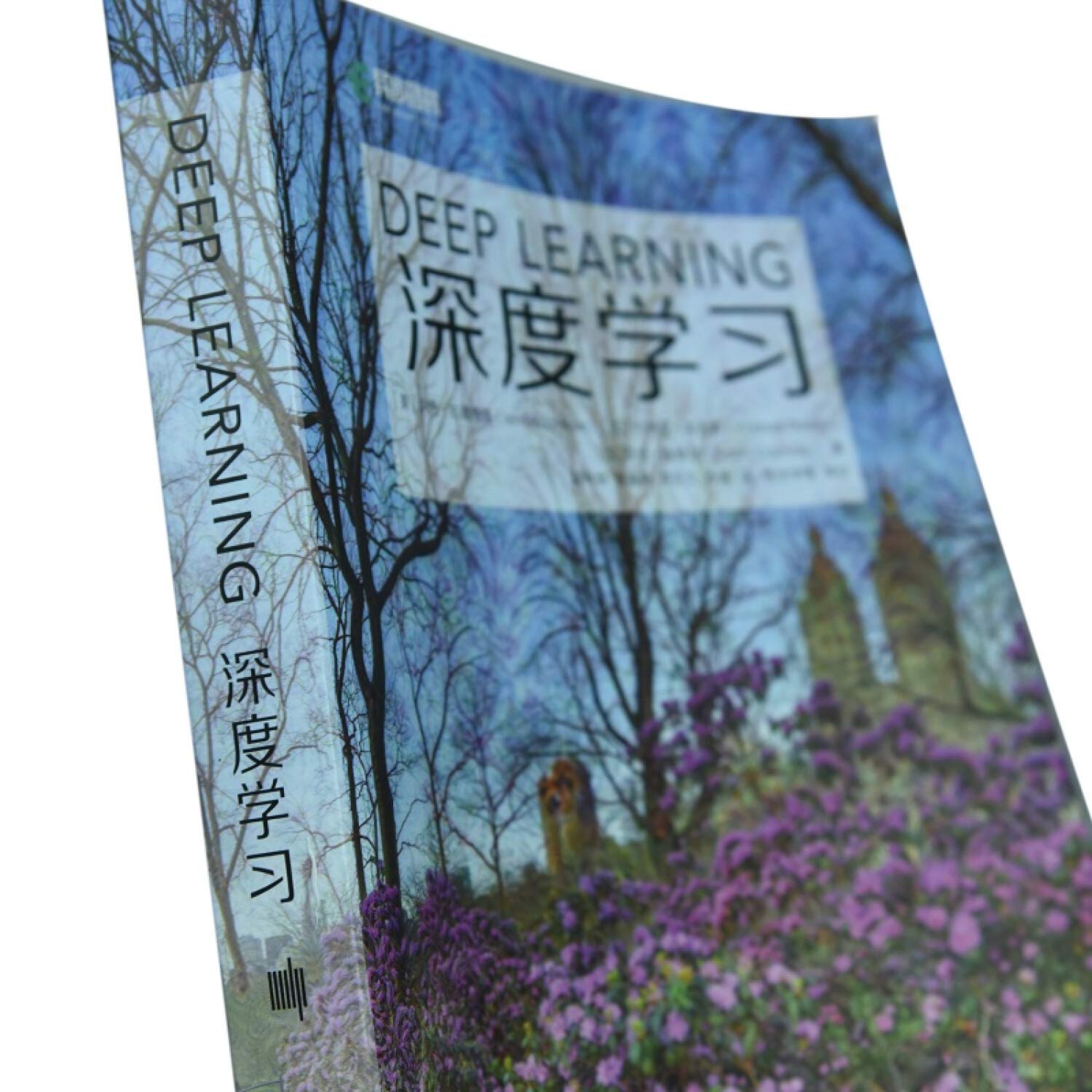 Amazon.co.jp: Ian Goodfellow: 本、バイオグラフィー、最新アップデート